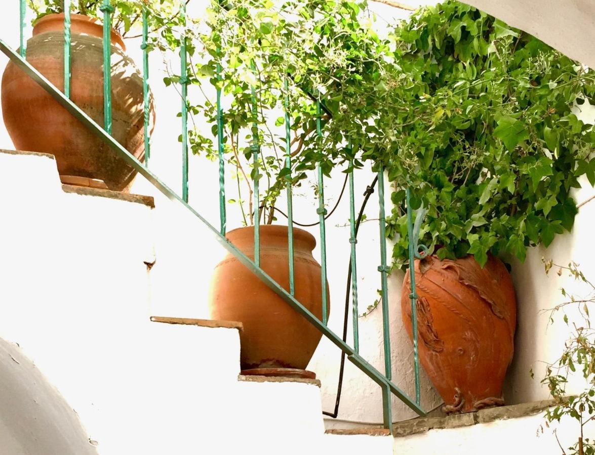 Casa Del Patio Arabe Casas Vejer Debra Villa Vejer de la Frontera Dış mekan fotoğraf